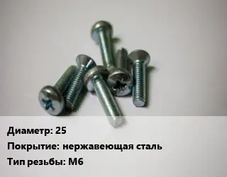 Винт 25 нержавеющая сталь М6